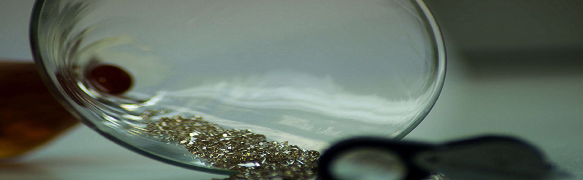 Tej Diamond Eyeglasses Shades